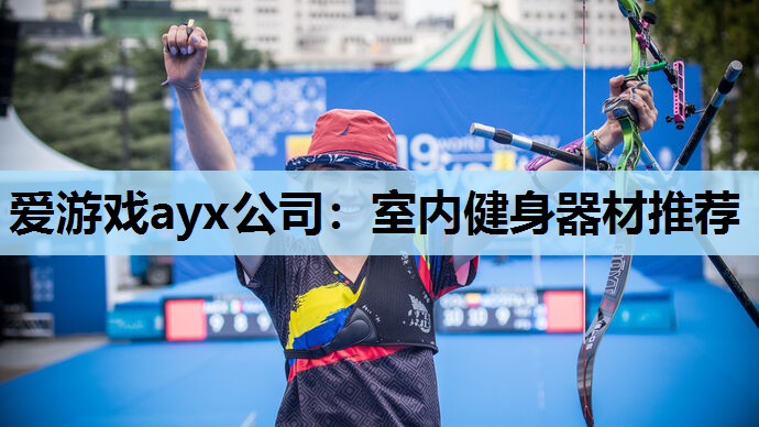 爱游戏ayx公司：室内健身器材推荐