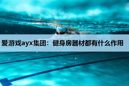 爱游戏ayx集团：健身房器材都有什么作用