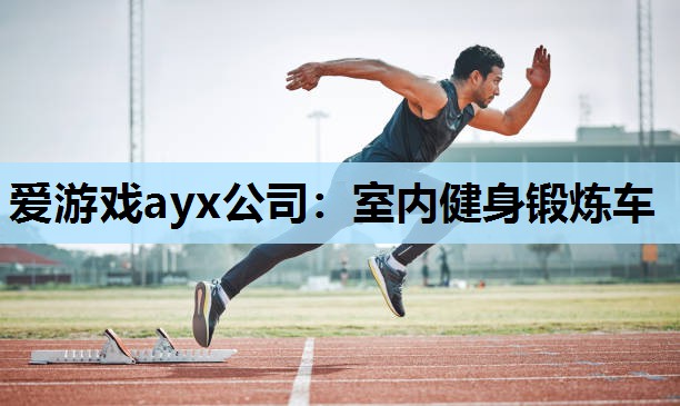 爱游戏ayx公司：室内健身锻炼车