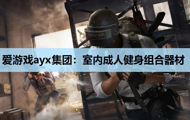 爱游戏ayx集团：室内成人健身组合器材