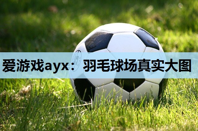 爱游戏ayx：羽毛球场真实大图