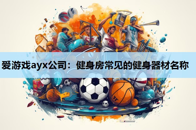 爱游戏ayx公司：健身房常见的健身器材名称