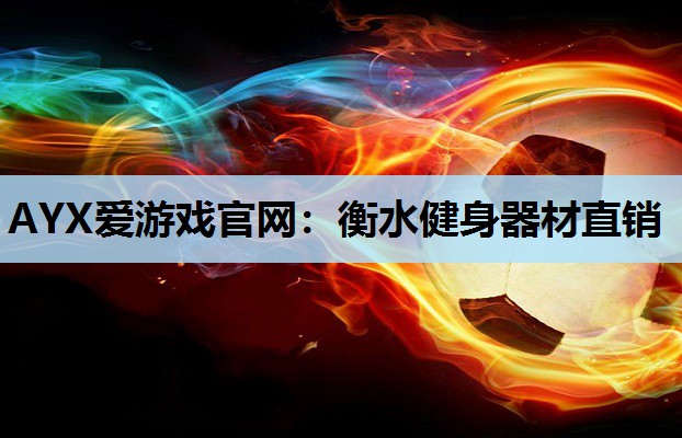 AYX爱游戏官网：衡水健身器材直销